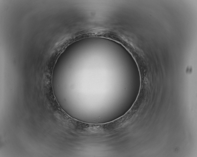 X0000090461447200707201324