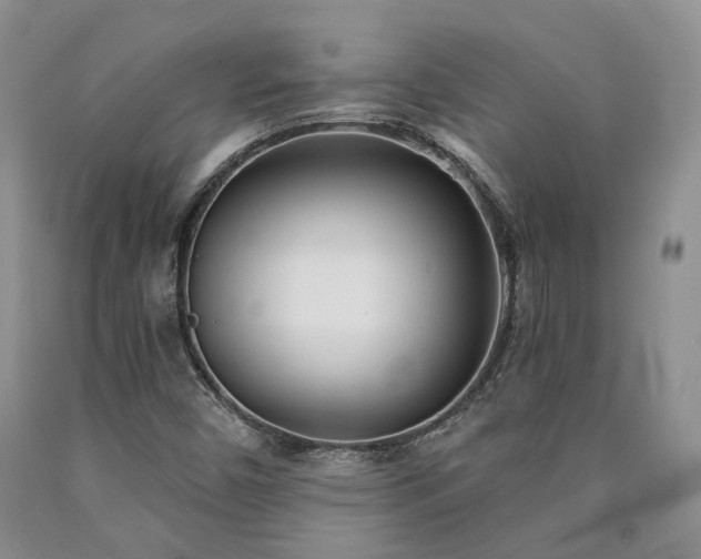 X0000090461450200707201324