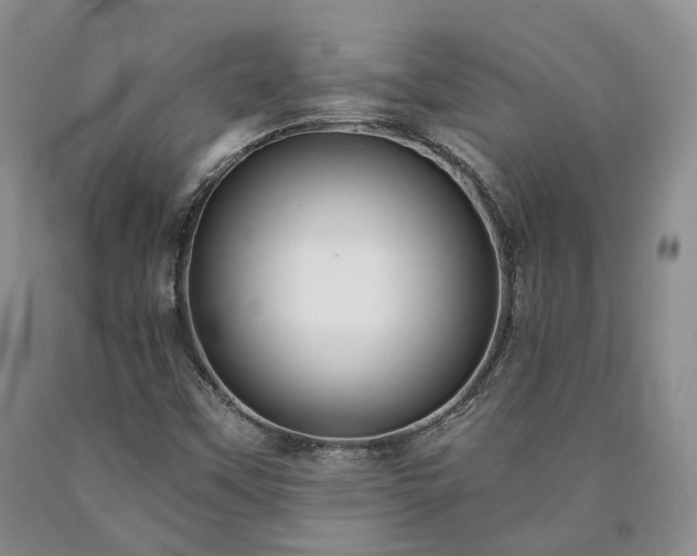 X0000090461451200707201324