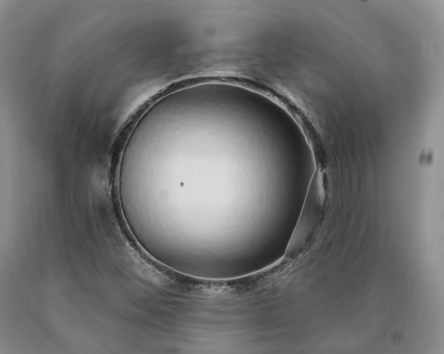 X0000090461452200707201324