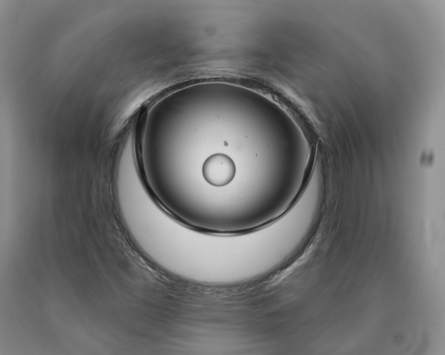 X0000090461453200707201324