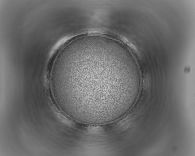 X0000090461454200707201324
