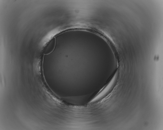 X0000090461455200707201324