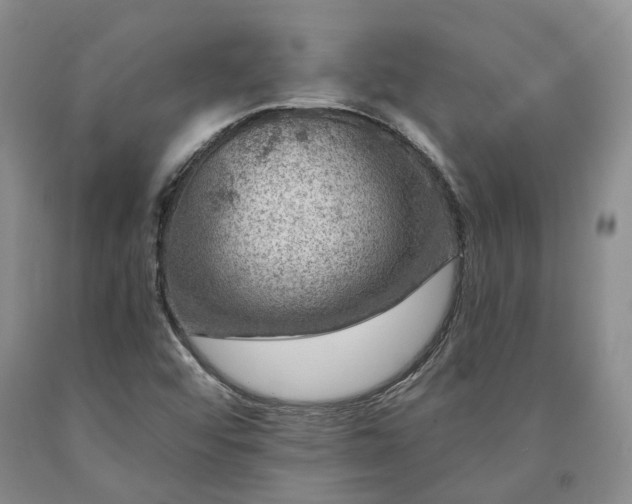 X0000090461456200707201324
