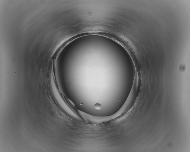 X0000090461457200707201324