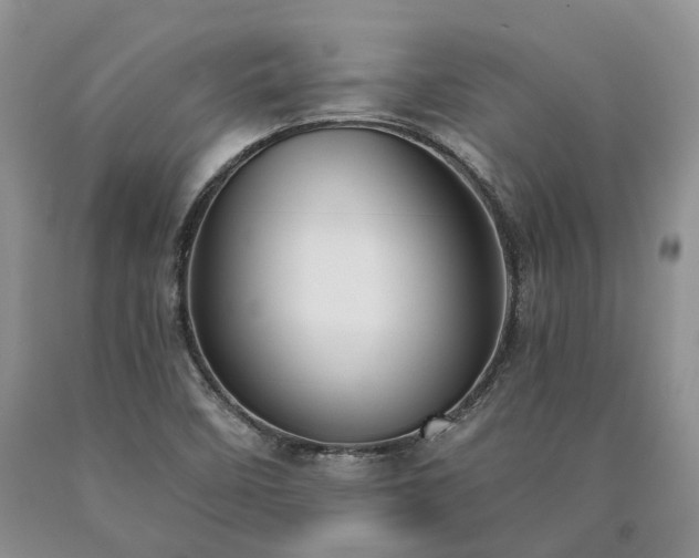 X0000090461458200707201324