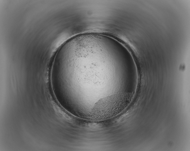X0000090461459200707201324