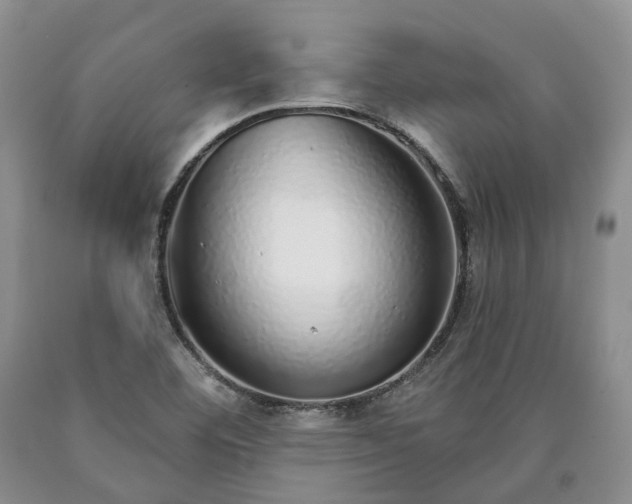X0000090461460200707201324