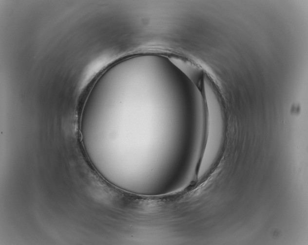 X0000090461461200707201324