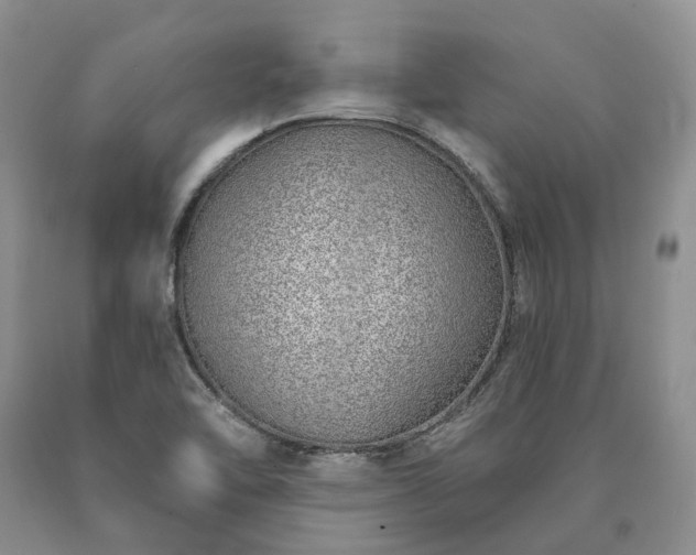 X0000090461462200707201324