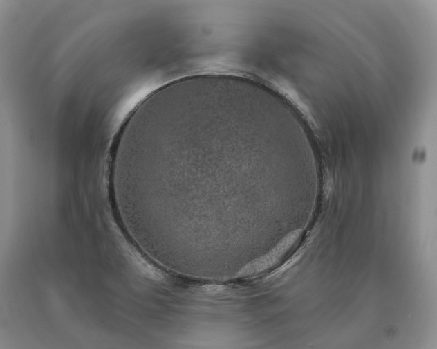 X0000090461463200707201324
