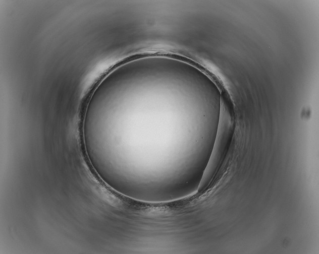X0000090461464200707201324