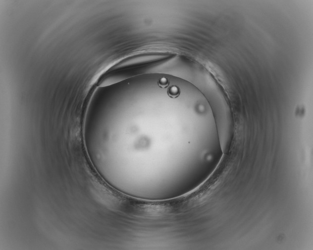 X0000090461465200707201324