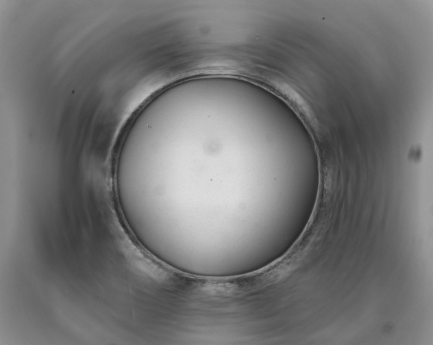 X0000090461466200707201324