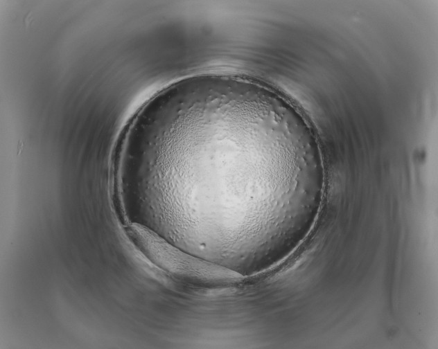 X0000090461467200707201324