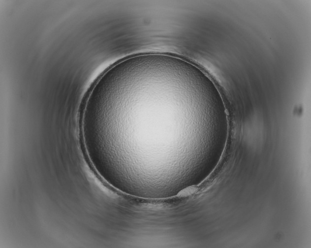 X0000090461468200707201324
