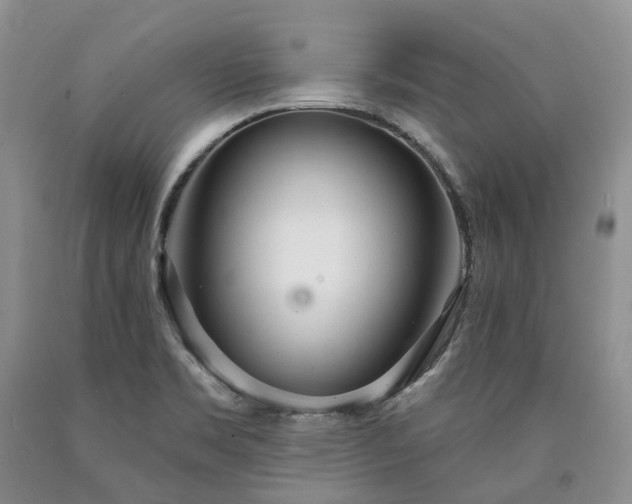 X0000090461469200707201324