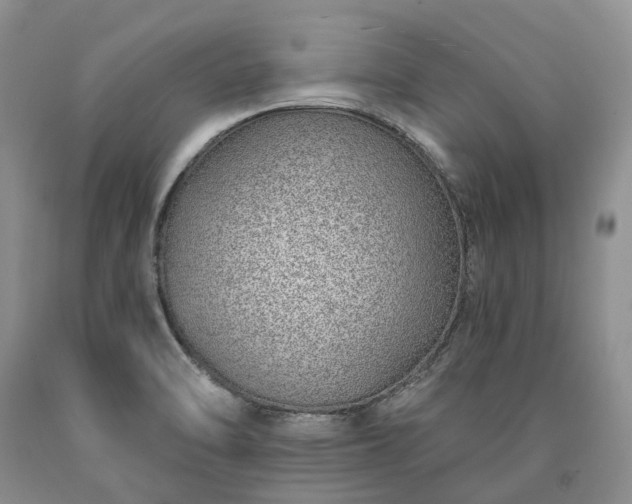 X0000090461470200707201324