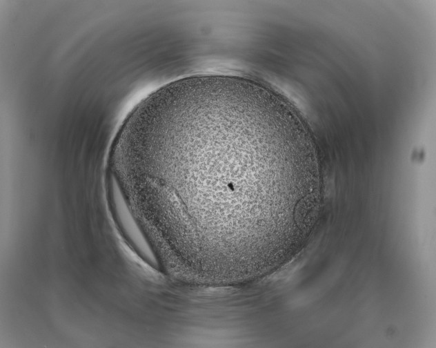 X0000090461471200707201324