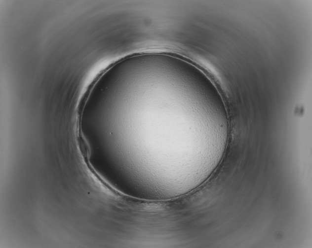 X0000090461472200707201324