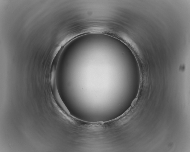 X0000090461473200707201324