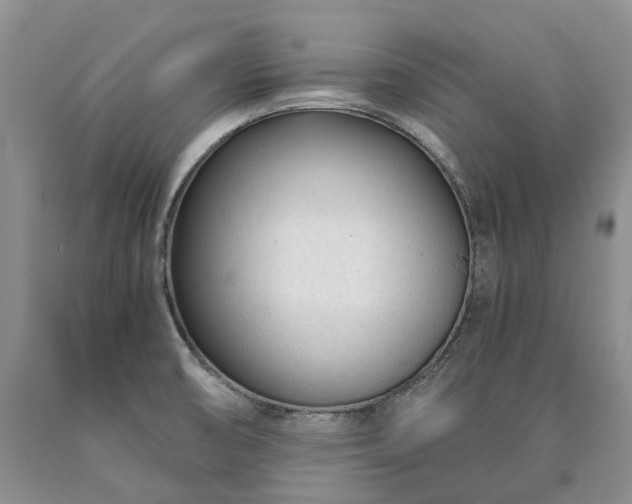 X0000090461474200707201324