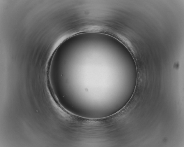 X0000090461475200707201324