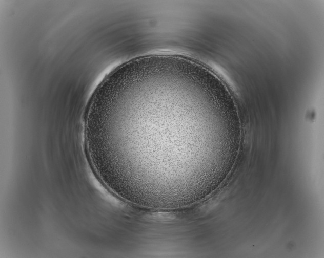 X0000090461476200707201324