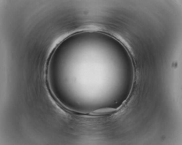 X0000090461477200707201324