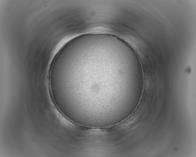X0000090461478200707201324