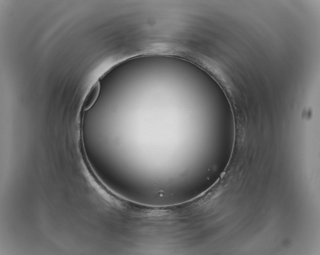 X0000090461479200707201324