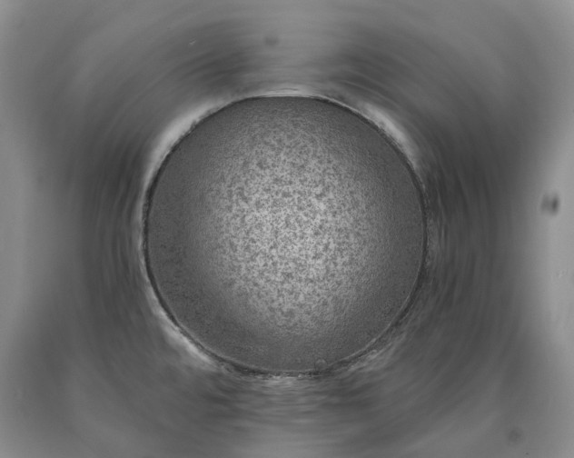 X0000090461480200707201324