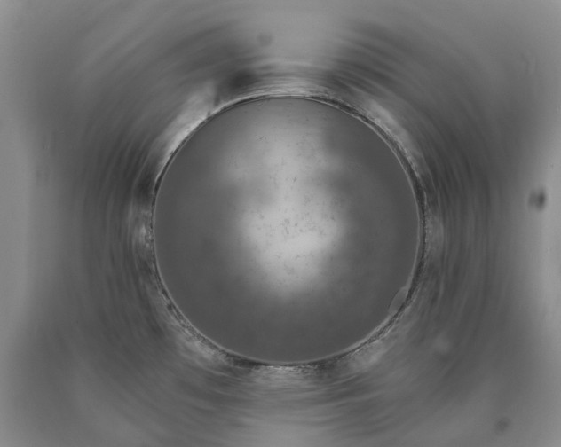 X0000090461481200707201324