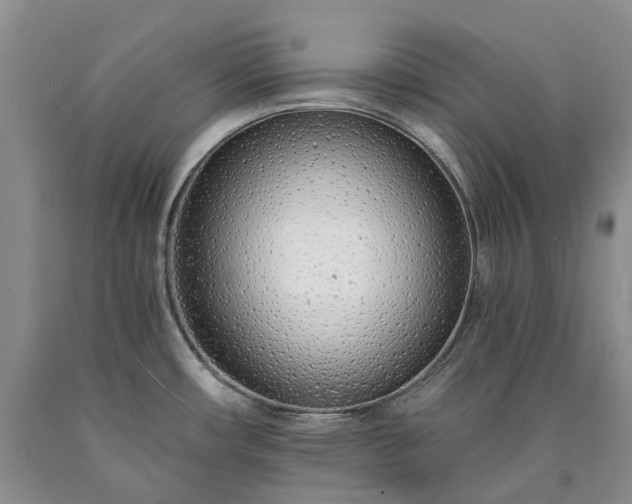 X0000090461482200707201324