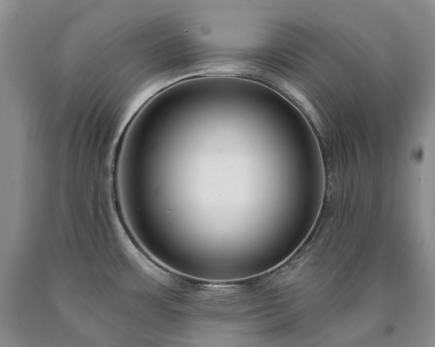 X0000090461483200707201324