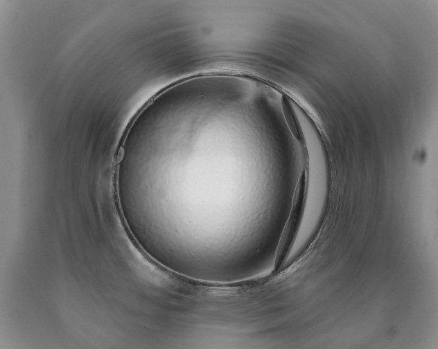 X0000090461484200707201324
