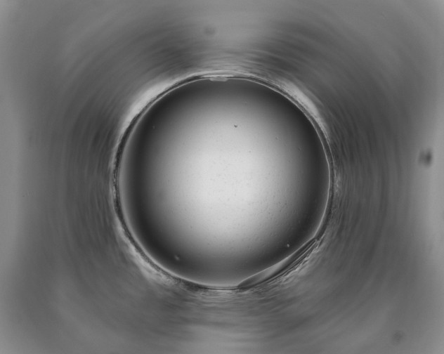 X0000090461485200707201324