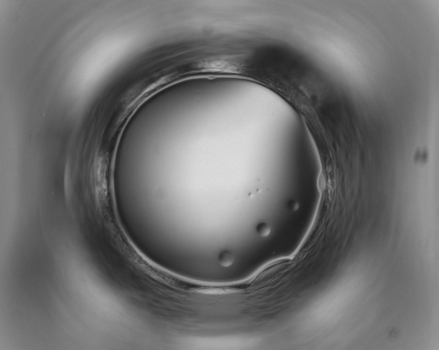 X0000090461487200707201324