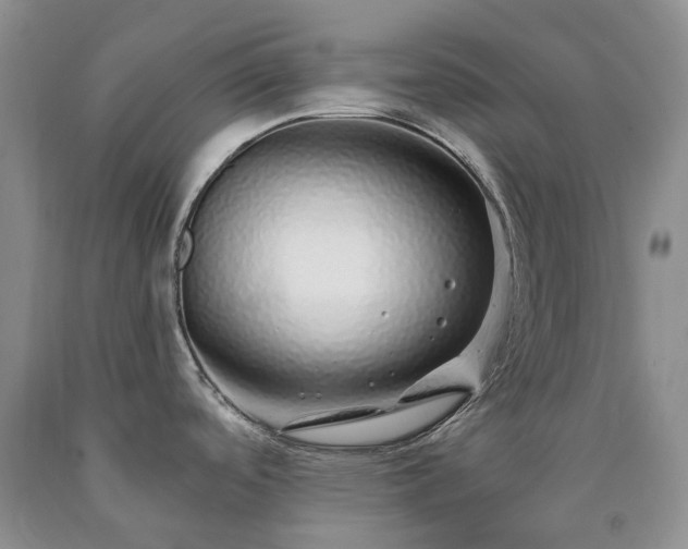 X0000090461488200707201324