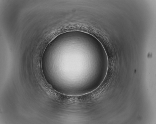 X0000090461489200707201323