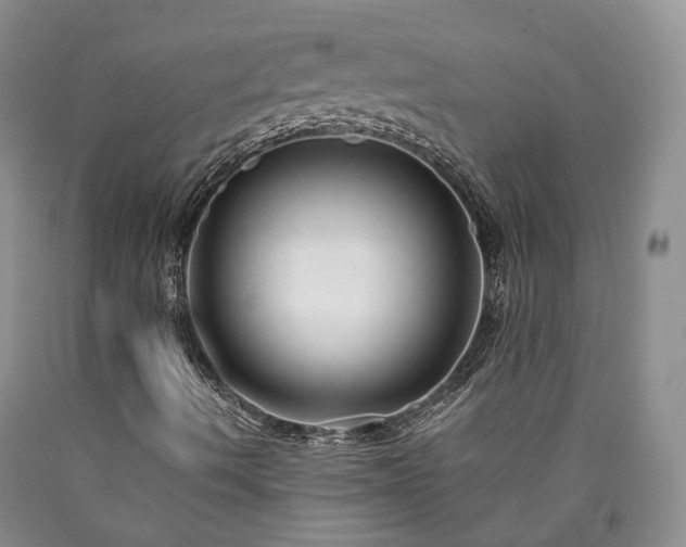 X0000090461490200707201323