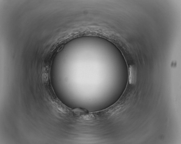 X0000090461491200707201323