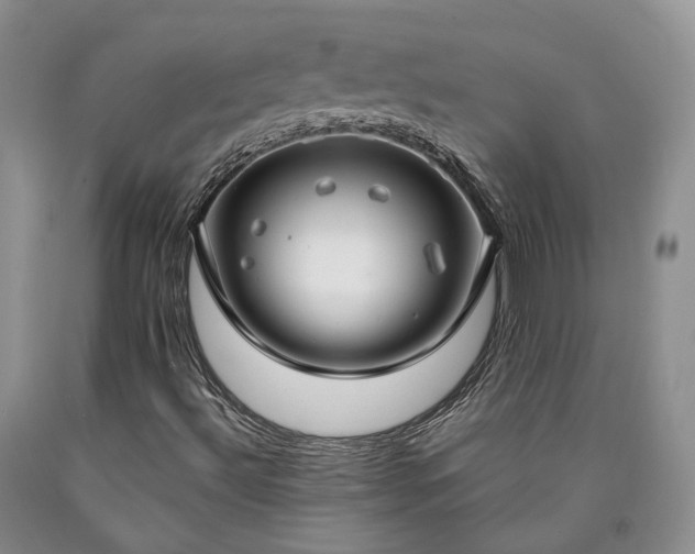 X0000090461492200707201323