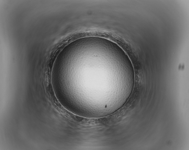 X0000090461493200707201323