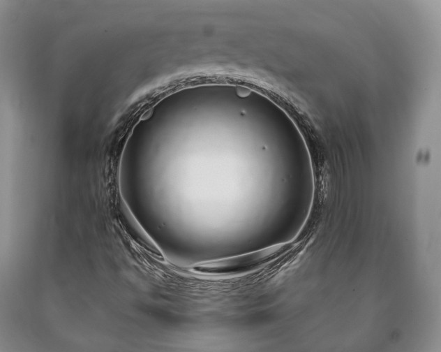 X0000090461494200707201323