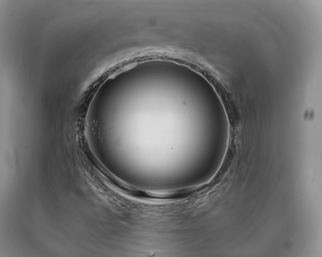 X0000090461496200707201323