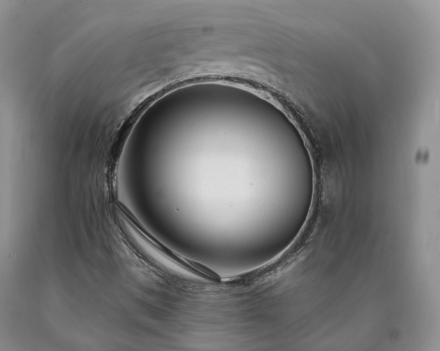 X0000090461497200707201323