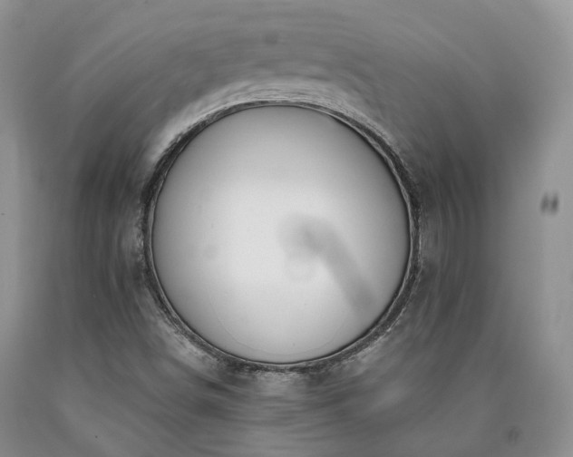X0000090461498200707201323