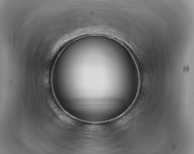 X0000090461499200707201323