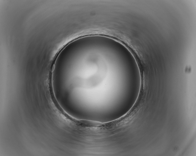 X0000090461500200707201323